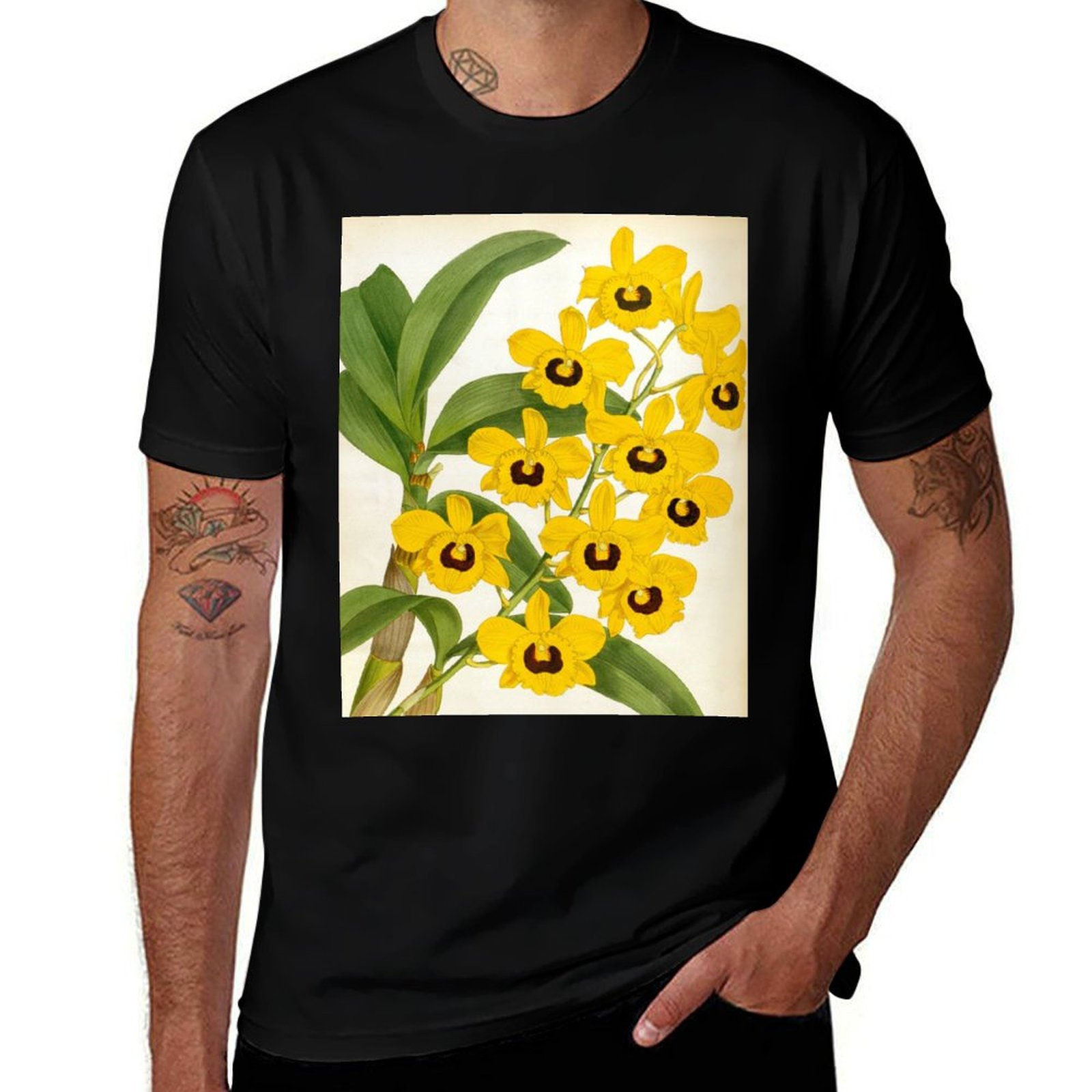 Collectible Vintage Matches - Camiseta Vintage Dendrobrium Suavissimum Orchids Lindenia