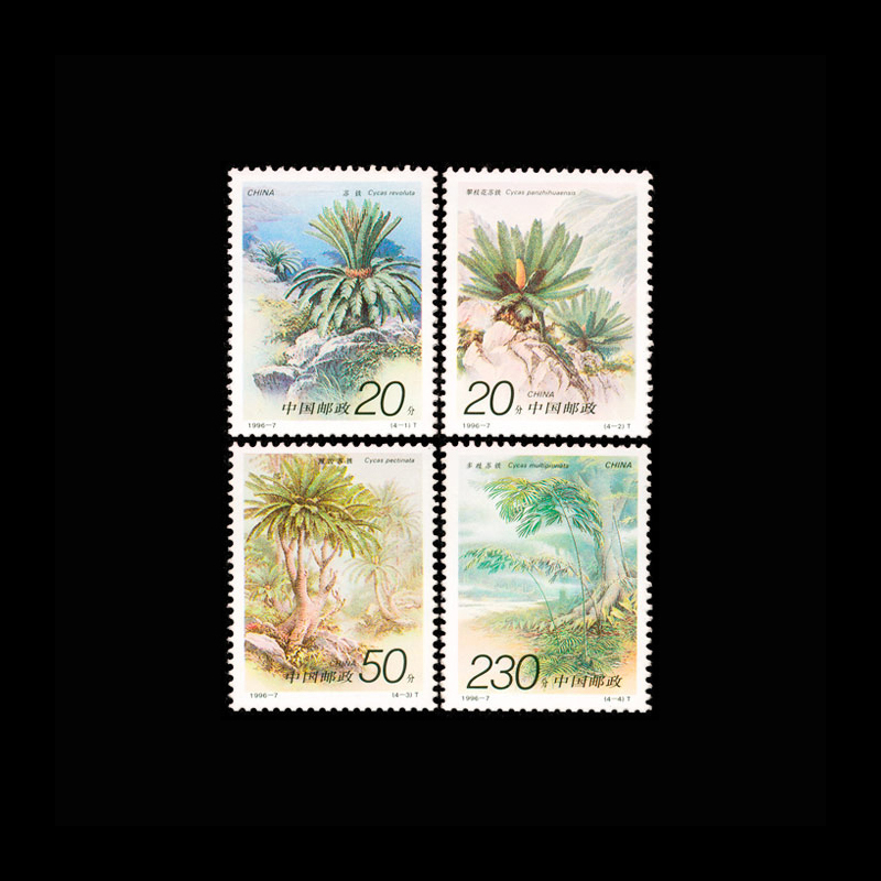 Vintage Collectible Stamps - Juego de 4 Sellos Postales Chinos