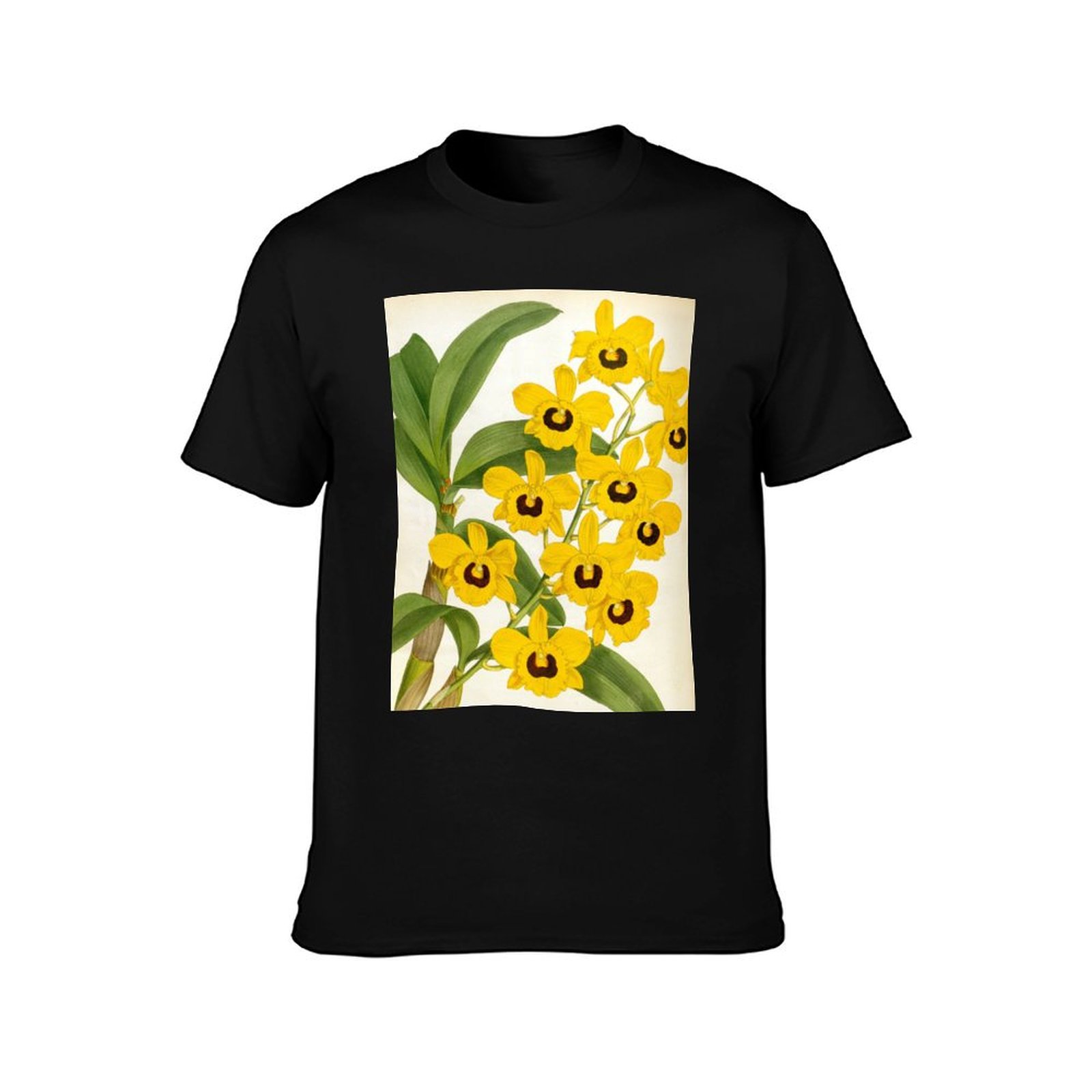Camiseta Vintage Dendrobrium S - Collectible Vintage Matches reseña y precio